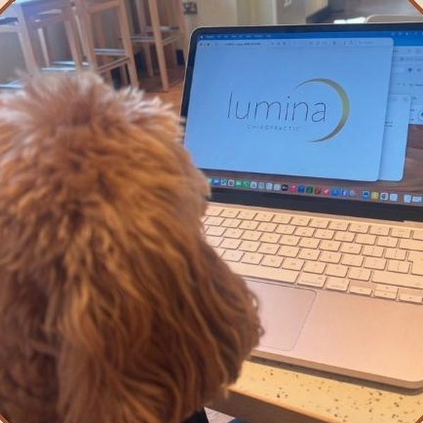 babs keeping an eye on the lumina website